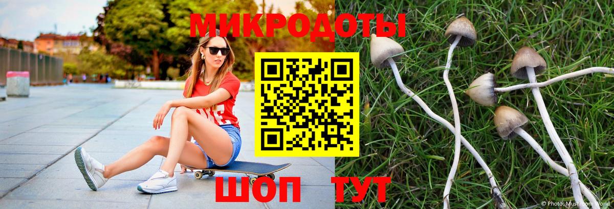 Галлюциногенные грибы GOLDEN TEACHER  Вход с VPN  Кизилюрт 